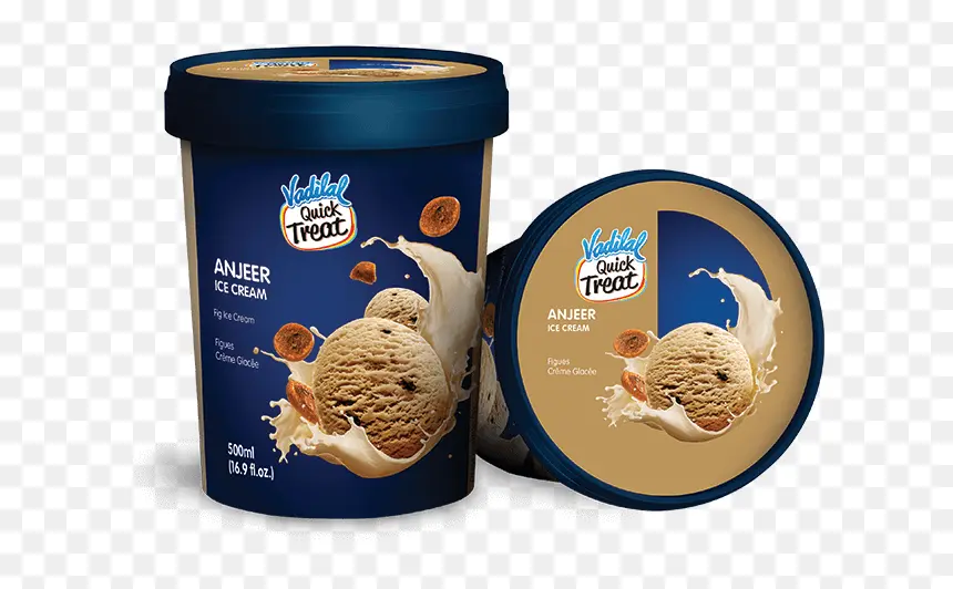 Vadilal Ice Cream Pot